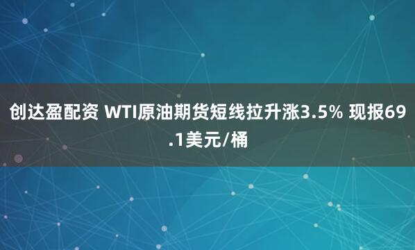 创达盈配资 WTI原油期货短线拉升涨3.5% 现报69.1美元/桶