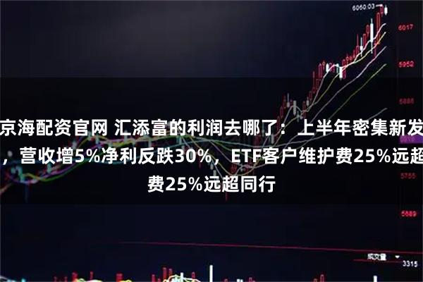 京海配资官网 汇添富的利润去哪了：上半年密集新发22基，营收增5%净利反跌30%，ETF客户维护费25%远超同行